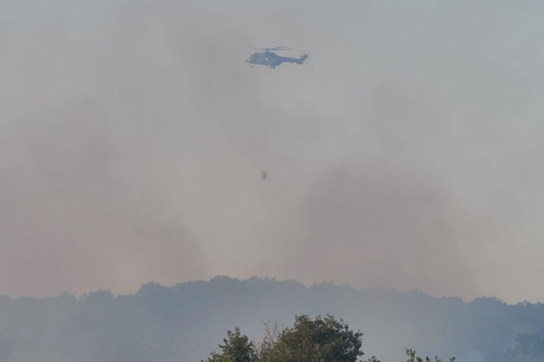Wildfire, Albania-2024-img-01
