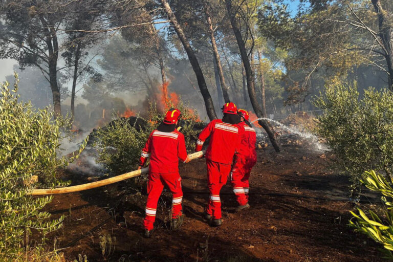 Wildfire, Albania-2024-img-03
